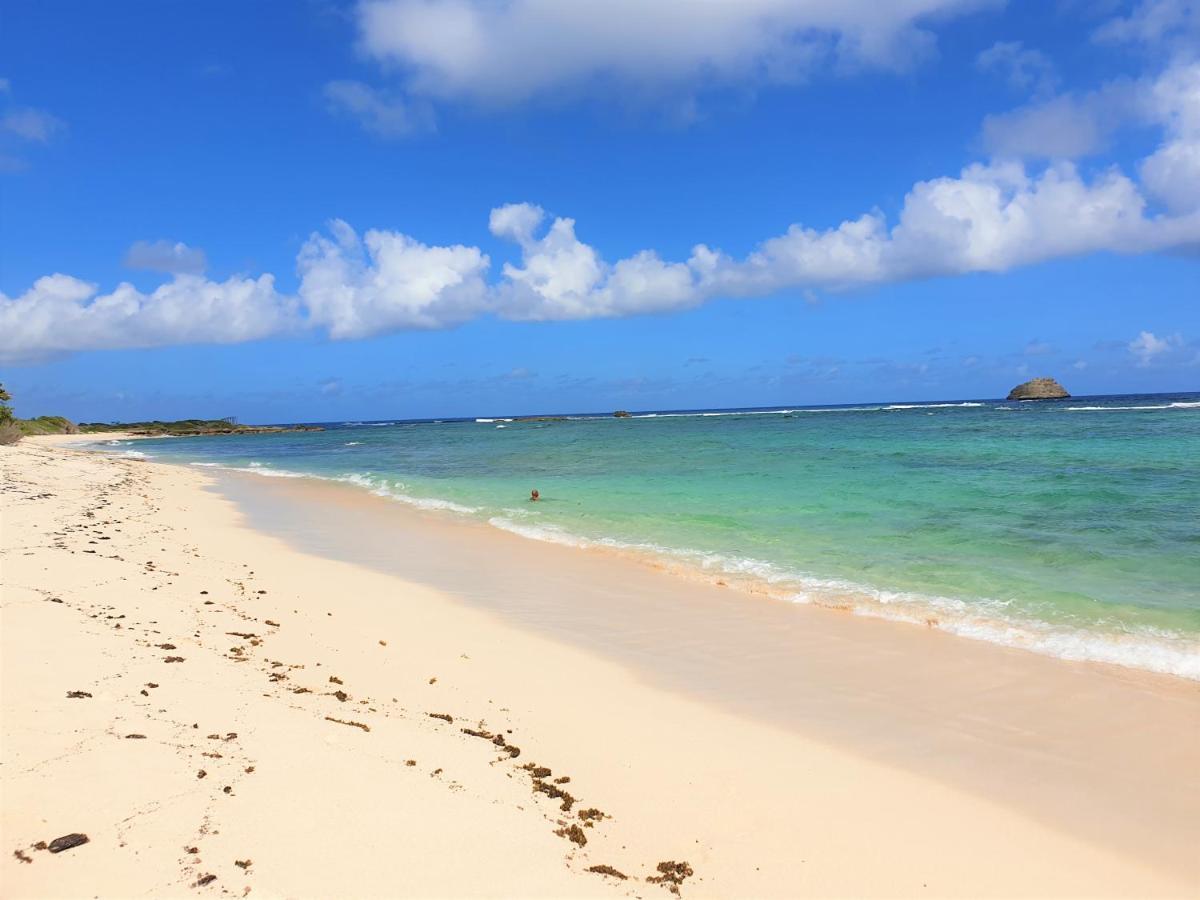 Villa Guadeloupe Saint Francois Acces Mer Piscine Iguana Bay - Villa Zagadi 외부 사진