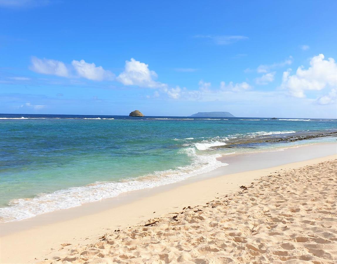 Villa Guadeloupe Saint Francois Acces Mer Piscine Iguana Bay - Villa Zagadi 외부 사진