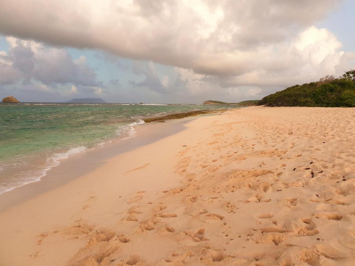Villa Guadeloupe Saint Francois Acces Mer Piscine Iguana Bay - Villa Zagadi 외부 사진