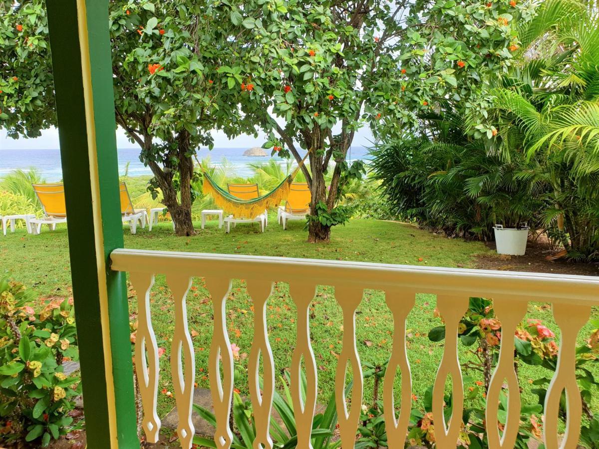 Villa Guadeloupe Saint Francois Acces Mer Piscine Iguana Bay - Villa Zagadi 외부 사진