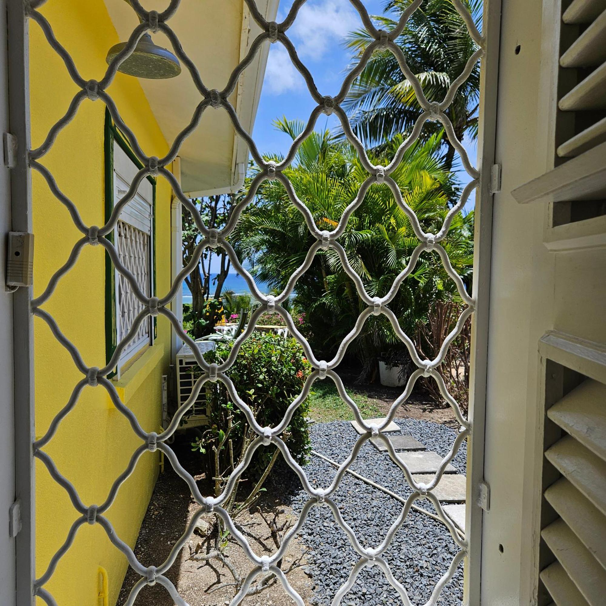 Villa Guadeloupe Saint Francois Acces Mer Piscine Iguana Bay - Villa Zagadi 외부 사진
