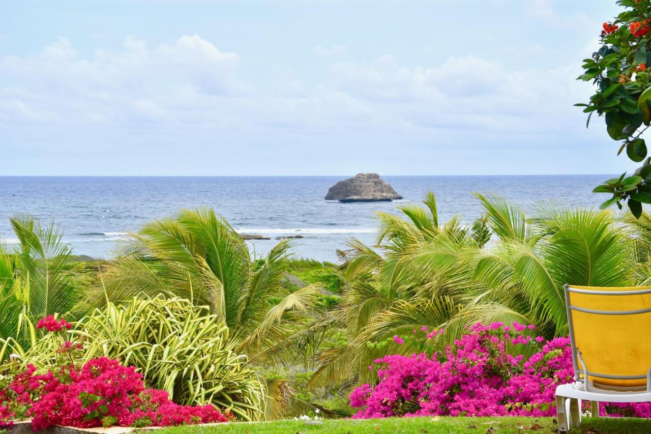 Villa Guadeloupe Saint Francois Acces Mer Piscine Iguana Bay - Villa Zagadi 외부 사진
