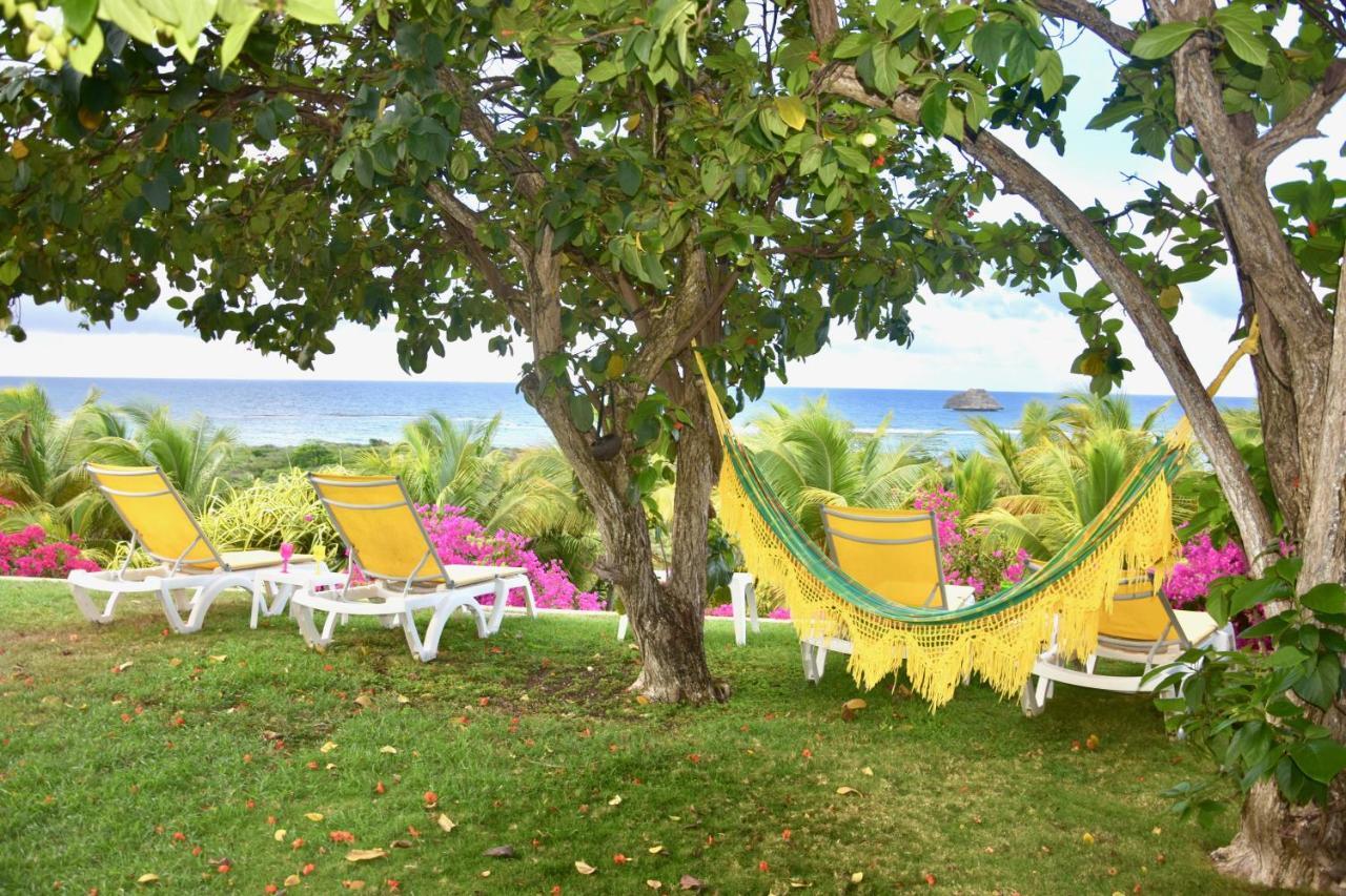 Villa Guadeloupe Saint Francois Acces Mer Piscine Iguana Bay - Villa Zagadi 외부 사진