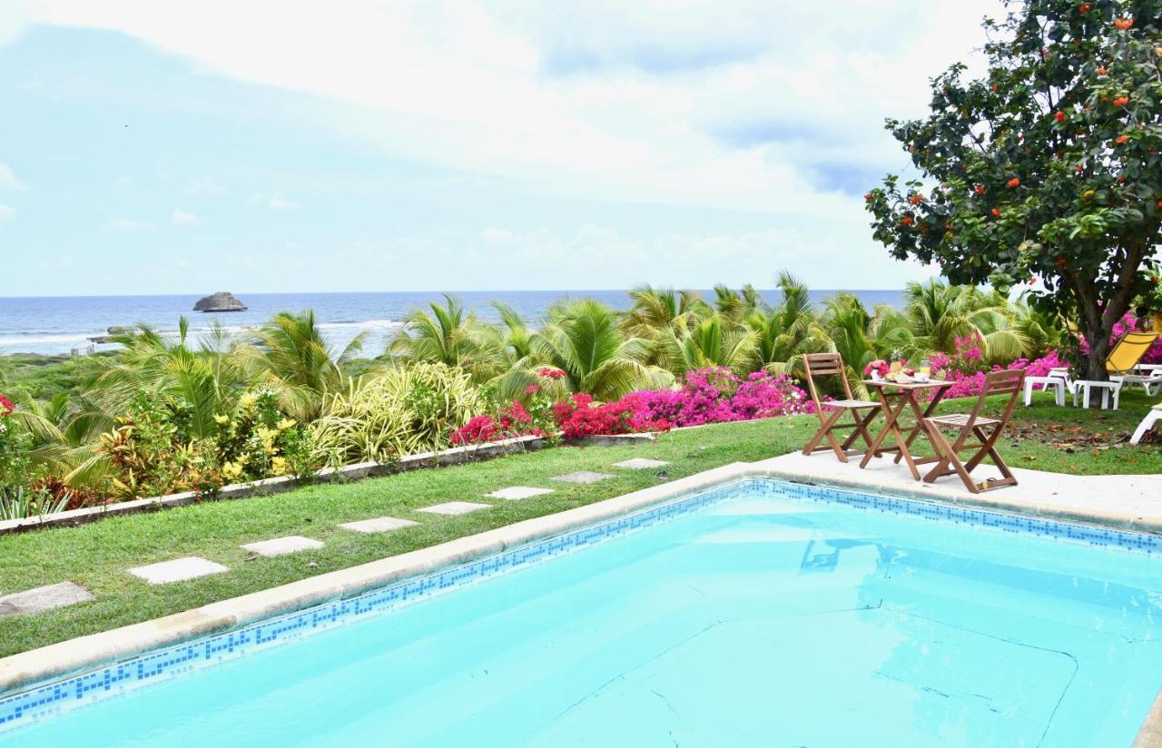 Villa Guadeloupe Saint Francois Acces Mer Piscine Iguana Bay - Villa Zagadi 외부 사진