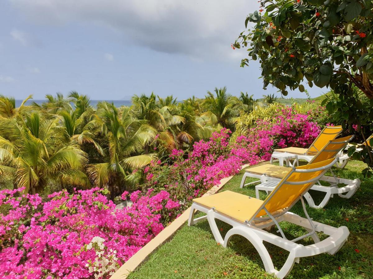 Villa Guadeloupe Saint Francois Acces Mer Piscine Iguana Bay - Villa Zagadi 외부 사진