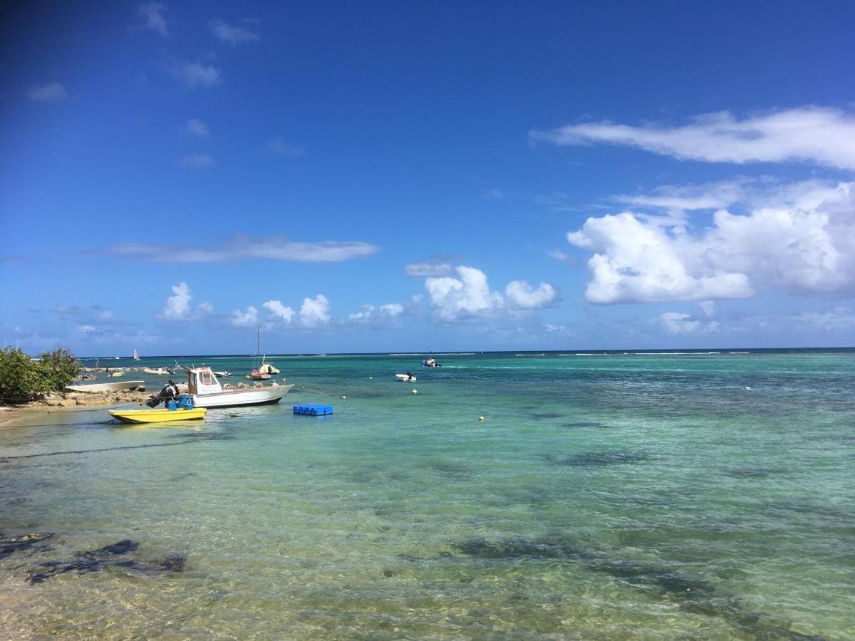 Villa Guadeloupe Saint Francois Acces Mer Piscine Iguana Bay - Villa Zagadi 외부 사진