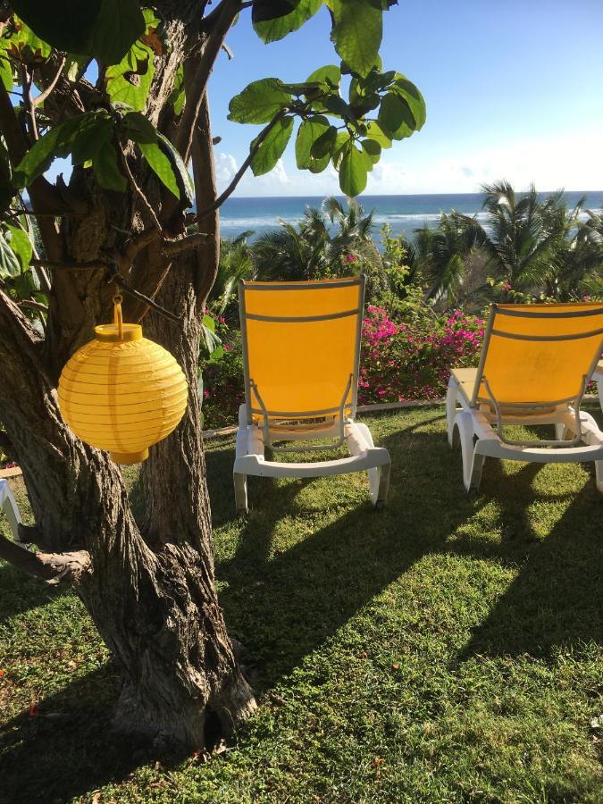 Villa Guadeloupe Saint Francois Acces Mer Piscine Iguana Bay - Villa Zagadi 외부 사진