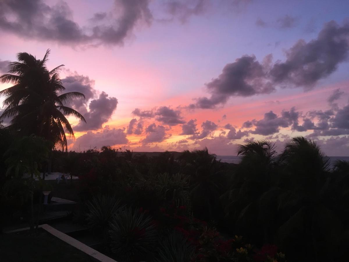 Villa Guadeloupe Saint Francois Acces Mer Piscine Iguana Bay - Villa Zagadi 외부 사진